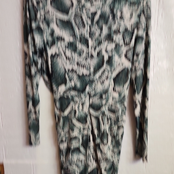 Alexia Admor Green and Black Snake Print Long Sleeve Dress - Picture 9 of 10